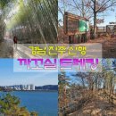 동실 이미지