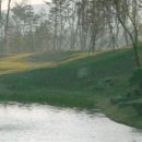 보라조경