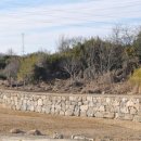 울산 개운포 좌수영성 이미지