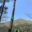 교직원 치유캠프, 국립나주숲체원