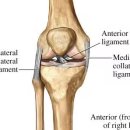 신통마취통증의학과의원 이미지