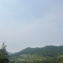 (임신 12주 ~ 임신 14주) 기형아 1차 검사, 채혈, 연세아란산부인과, 성별 대기, 임산부 골프장, 임산부...