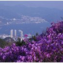 일흥주유소 이미지