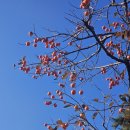 서울 한양도성(서울성곽) | 트랭글과 함께한 아이더로드 50선 서울한양도성 2코스 낙산구간 하이킹 후기