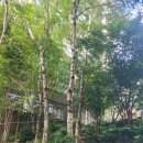 무이재한방병원 이미지