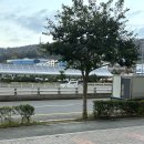 후광대로 | 목포속눈썹펌 잘하는곳 남악메이크현 속눈썹펌 후기