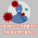 진원식품 | 니파바이러스 총정리 (+증상, 백신, 치료법)