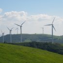 무도목장 이미지