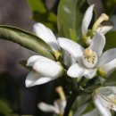 신효동-14 이미지