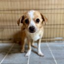 회성동225 이미지