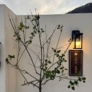 봉래산로 | [영월 여행] '왕과 사는 남자'를 보고 떠난 힐링, 감성 숙소 '스테이오무개' 내돈내산 후기⭐️