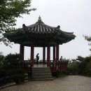 비래초교 이미지