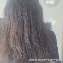 밤도시 | [인천] 검단신도시 미용실 로이드밤 검단신도시점 매직 후기
