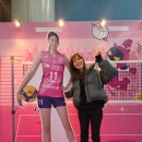 하이파이브 독스 | 흥국생명 핑크스파이더스 vs GS칼텍스 배구경기 직관후기