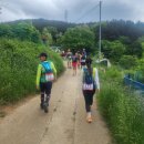 RE:부산산악마라톤클럽 창립 제18주년기념 5산종주트레일런30km(2024.5.5)~~대회후기 사진 2 이미지