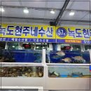 대천맛집 신선한 수산물 해산물이 있는 녹도현주네수산