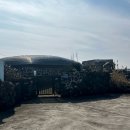 스테이고래 | 제주도 조천 독채펜션 눈먼고래 2박 3일 스테이후기