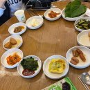 강릉맛집 강릉 꼬막집 독도네 본점 꼬막비빔밥 내돈내산 추천 후기