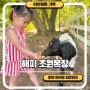 해피목장 | 춘천 아이랑 가볼만한곳 해피초원목장 춘천 동물원 내돈내산 솔직후기