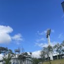 화니오기 펫살롱 이미지