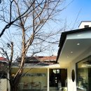 sandstone coffee lab 이미지