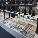 으뜸50안경경산점 | [수원/인계동] 으뜸50안경 수원인계점 / 솔직후기 / 인계동 맞춤 안경 전문 안경테 맛집