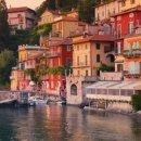 꼬모의 산책 이미지