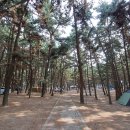 솔내음야영장 이미지