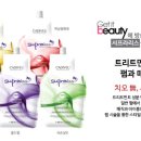 테드헤어 - 용인시 처인구 | 테드헤어