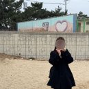 리뷰 | 스프링크로커스 하프 발마칸 코트 후기
