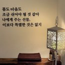김해율하골드테라피 | 김해 장유 마사지 잘하는곳 김해율하 골드테라피에서 통증순환 큐어바디 후기
