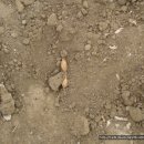 종구농장 이미지