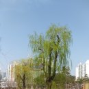 부산시민공원 이미지