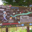 대위리-양지리 이미지