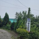 대창증산로 2 | 보령 드라이브중 끝내주는 닭한마리칼국수집 발견(내돈내산. 애견동반) - 정원 1인1닭칼국수