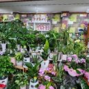 산호동166 이미지