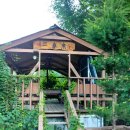 숲속의맑은향기 이미지