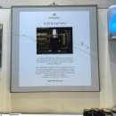 (주)더브라운베이커리 | 강남역 빵집 주말 빌딩 숲 속 뜻밖의 힐링, 강남 베이커리 카페 ‘팡뮤제‘친구랑 다녀온 찐 후기