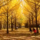 은행약수터 이미지