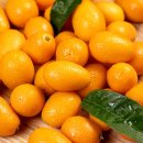 건양유통 이미지