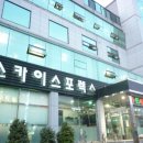스카이스포렉스