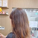 송정헤어클리닉