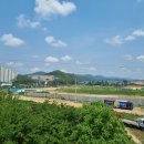 농업기술원 맞은편 이미지