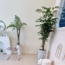 마실오개 이미지