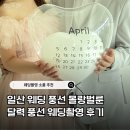 몰랑 | 웨딩촬영 소품 추천 일산 웨딩 풍선 몰랑벌룬 달력풍선