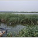 중앙낚시 이미지