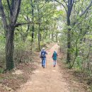 서봉산 산림욕장 2 이미지