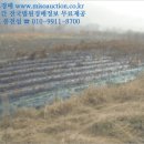 삼전보건진료소 이미지