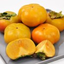 구이농협협동조합 이미지