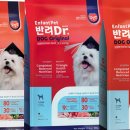 보람상조개발(주) 이미지